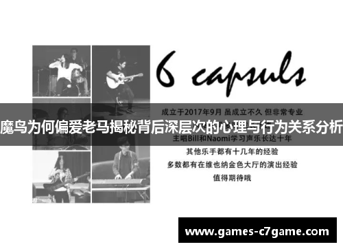 魔鸟为何偏爱老马揭秘背后深层次的心理与行为关系分析