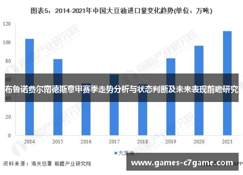 布鲁诺费尔南德斯意甲赛季走势分析与状态判断及未来表现前瞻研究