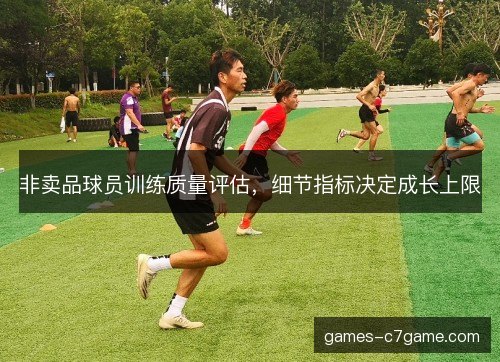 非卖品球员训练质量评估，细节指标决定成长上限